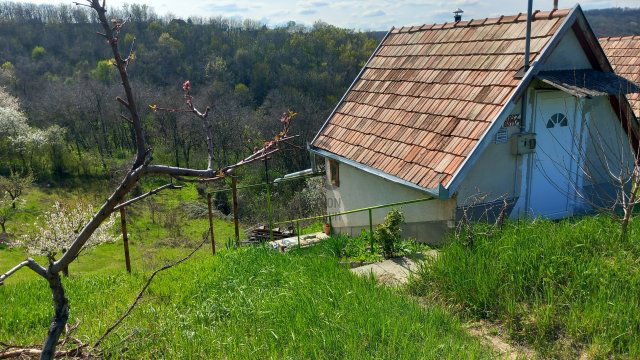 Eladó mezogazdasagi ingatlan, Szekszárdon 8.5 M Ft