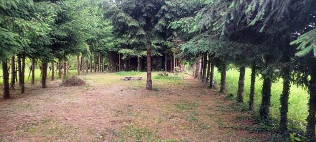 Eladó ipari ingatlan, Nagykanizsán 2.3 M Ft, 2 szobás