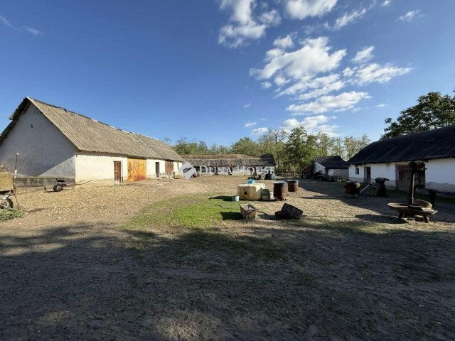 Eladó mezogazdasagi ingatlan, Orgoványon 79.9 M Ft, 3 szobás