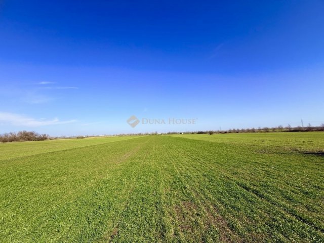 Eladó telek, Taksonyon 30 M Ft / költözzbe.hu