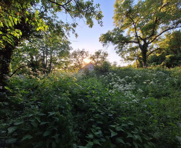 Eladó telek, Zalaszántón 10.5 M Ft / költözzbe.hu