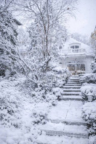 Eladó családi ház, Budapesten, I. kerületben 359 M Ft, 4 szobás