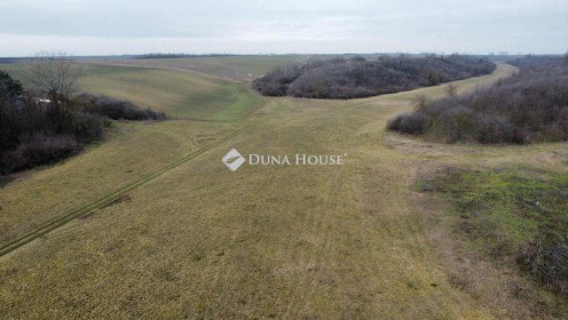 Eladó mezogazdasagi ingatlan, Pakson 230 M Ft