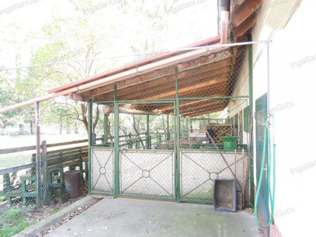 Eladó mezogazdasagi ingatlan, Lajosmizsén 307.5 M Ft