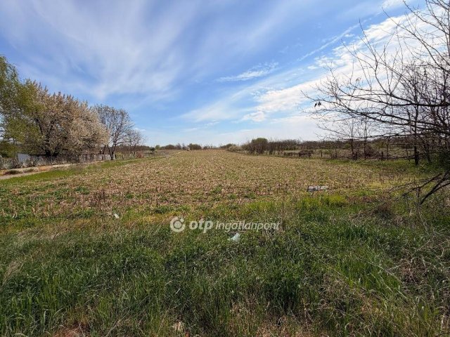 Eladó telek, Nyíregyházán 20 M Ft / költözzbe.hu