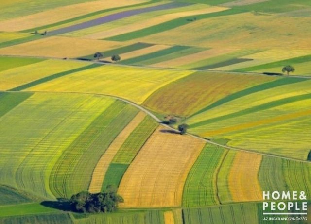 Eladó mezogazdasagi ingatlan, Cegléden 4.99 M Ft