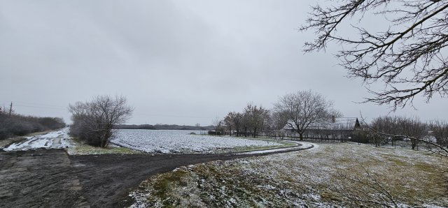 Eladó mezogazdasagi ingatlan, Gyulán 13.5 M Ft