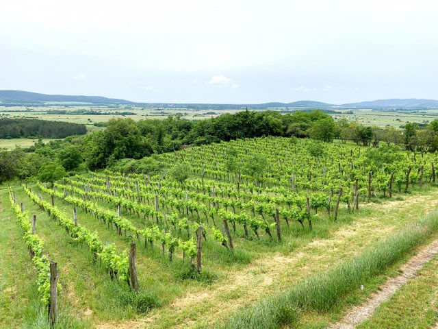 Eladó nyaraló, Köveskálon 29.9 M Ft, 3 szobás