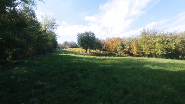 Eladó telek, Galambokon 2.9 M Ft / költözzbe.hu