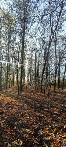 Eladó telek, Kunszentmiklóson 9 M Ft / költözzbe.hu