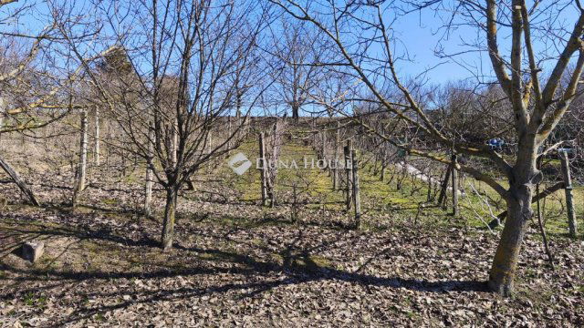 Eladó telek, Pellérden 1.9 M Ft / költözzbe.hu