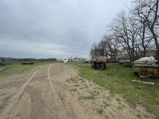 Eladó mezogazdasagi ingatlan, Domaszéken 160 M Ft