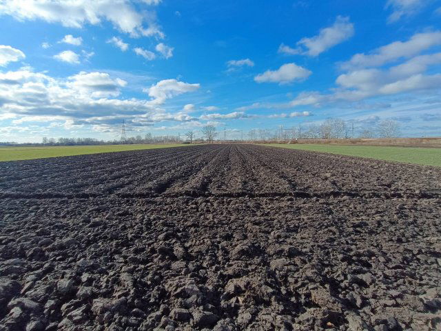 Eladó mezogazdasagi ingatlan, Délegyházán 45.9 M Ft