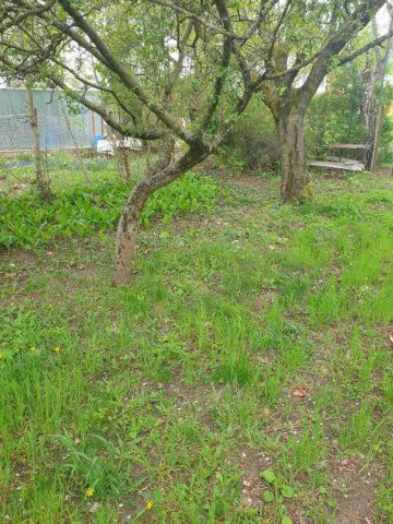 Eladó mezogazdasagi ingatlan, Tatabányán 8.5 M Ft