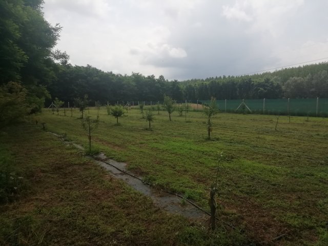 Eladó telek, Albertirsán 39.9 M Ft / költözzbe.hu