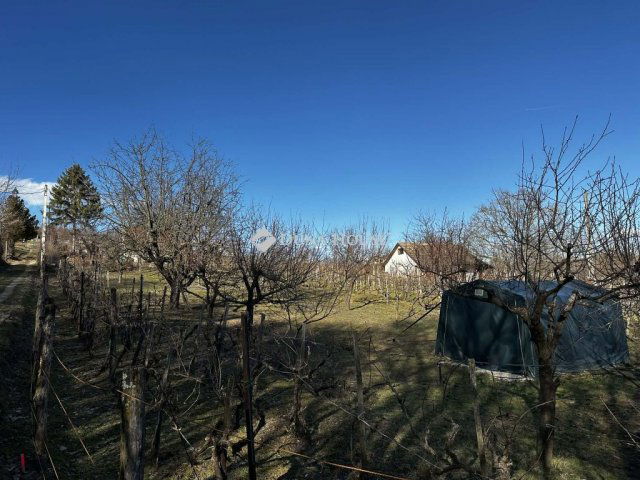 Eladó mezogazdasagi ingatlan, Ságváron 25 M Ft, 2 szobás