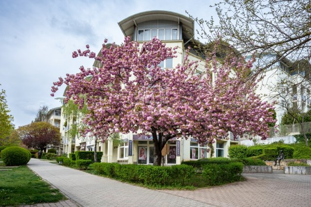 Eladó téglalakás, Budapesten, XI. kerületben 139.9 M Ft