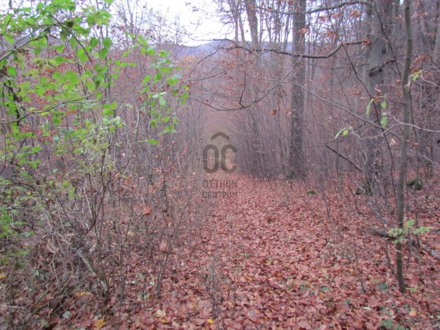 Eladó telek, Bükkszentkereszten 7.6 M Ft / költözzbe.hu