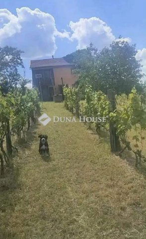 Eladó telek, Mocsán 6.9 M Ft / költözzbe.hu