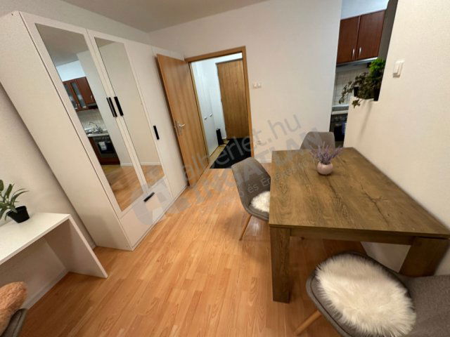 Kiadó téglalakás, albérlet, VIII. kerületben, Tolnai Lajos utcában