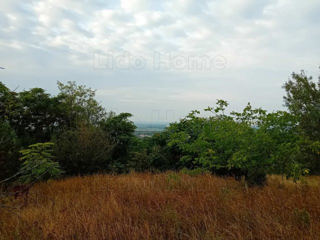 Eladó mezogazdasagi ingatlan, Csóron 9.85 M Ft, 2 szobás