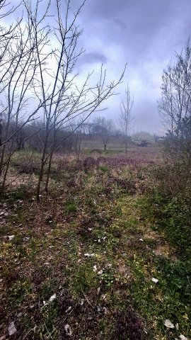 Eladó családi ház, Hajdúsámsonon 21 M Ft, 2 szobás