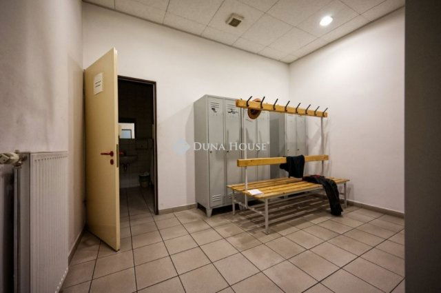 Eladó ipari ingatlan, Alsónémediben 853.6 M Ft