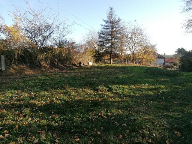 Eladó telek, Nagykutason 8 M Ft / költözzbe.hu