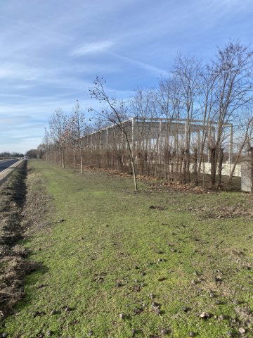 Eladó mezogazdasagi ingatlan, Dabason 5.9 M Ft