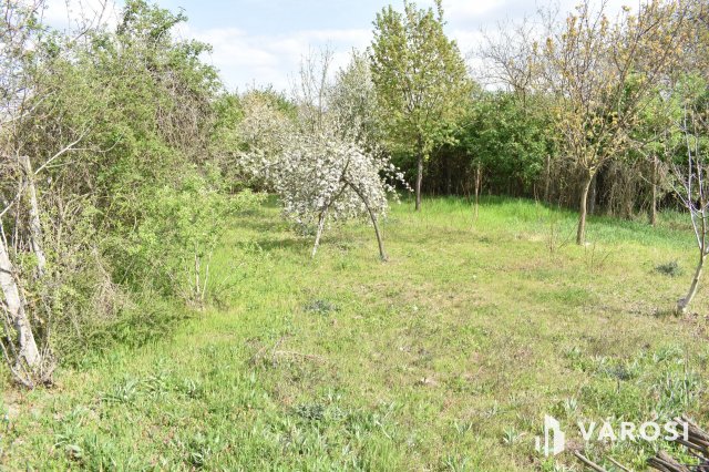 Eladó mezogazdasagi ingatlan, Gyulán 2.8 M Ft