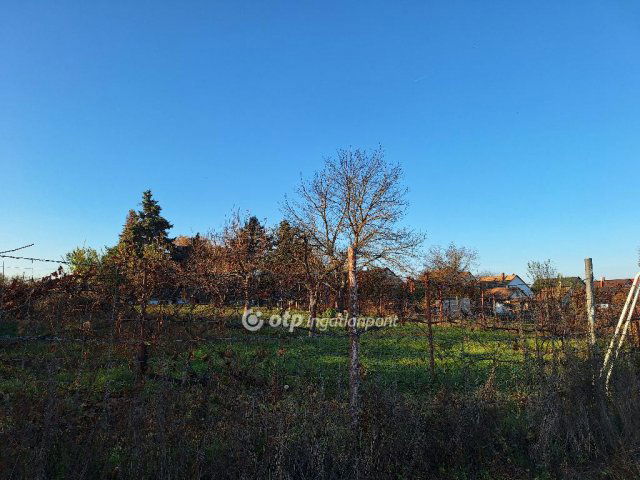 Eladó telek, Ádándon 8.5 M Ft / költözzbe.hu