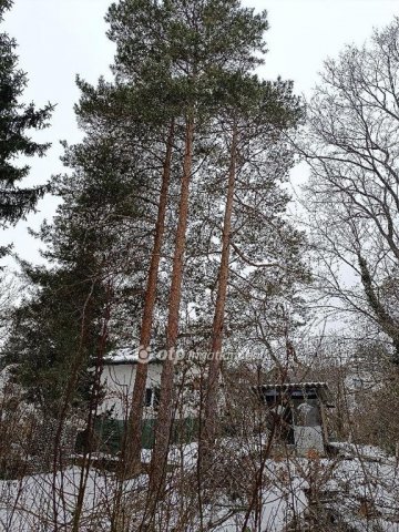 Eladó családi ház, Solymáron 113.5 M Ft, 3+2 szobás