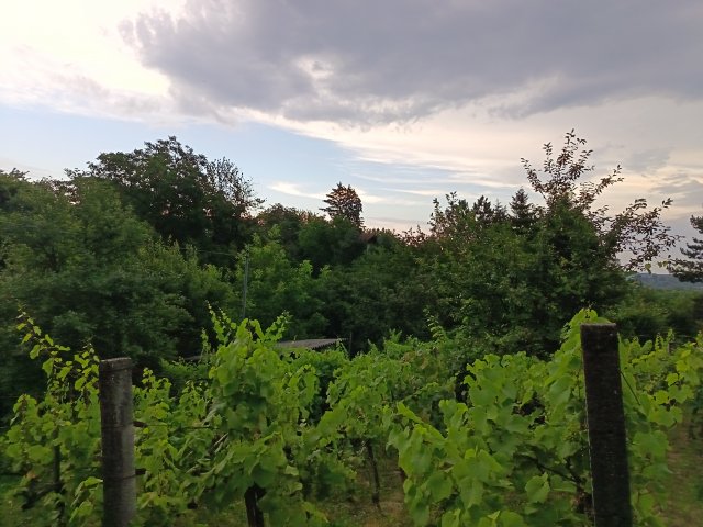 Eladó telek, Kaposváron, Dongó utcában 5.8 M Ft