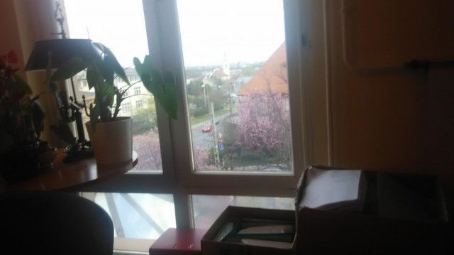 Kiadó iroda, Budapesten, II. kerületben 600 E Ft / hó, 2 szobás