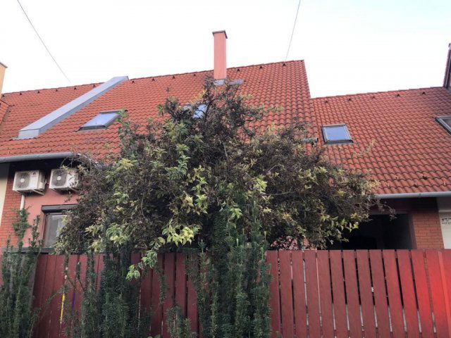 Eladó sorház, Dunaharasztin 94.9 M Ft, 7 szobás