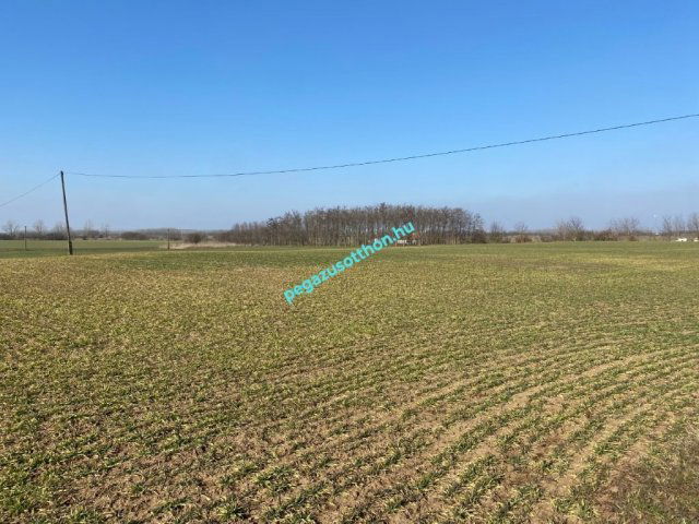 Eladó telek, Tiszaszentimrén 3.3 M Ft / költözzbe.hu