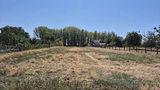 Eladó telek, Farmoson 15.9 M Ft / költözzbe.hu