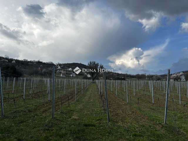 Eladó telek, Pécselyen 62 M Ft / költözzbe.hu