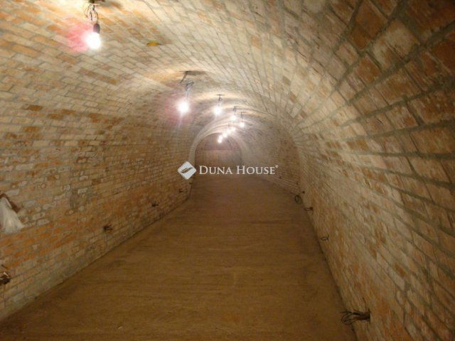 Eladó családi ház, Szentendrén 589 M Ft, 8 szobás