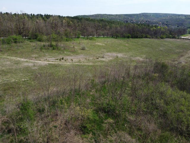 Eladó mezogazdasagi ingatlan, Isaszegen 39 M Ft