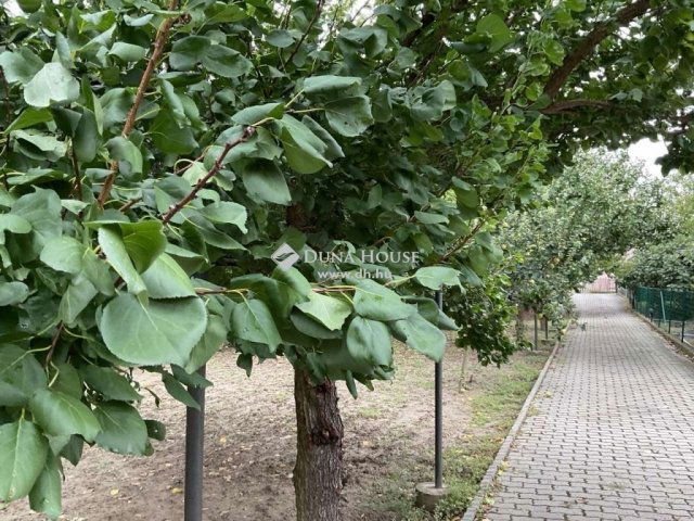 Eladó családi ház, Majosházán 220 M Ft, 4 szobás