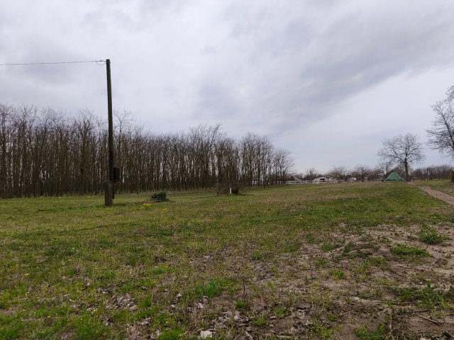 Eladó telek, Kiskunmajsán 4.2 M Ft / költözzbe.hu