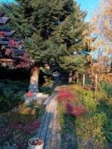 Eladó családi ház, Pilisszántón 49 M Ft, 3 szobás