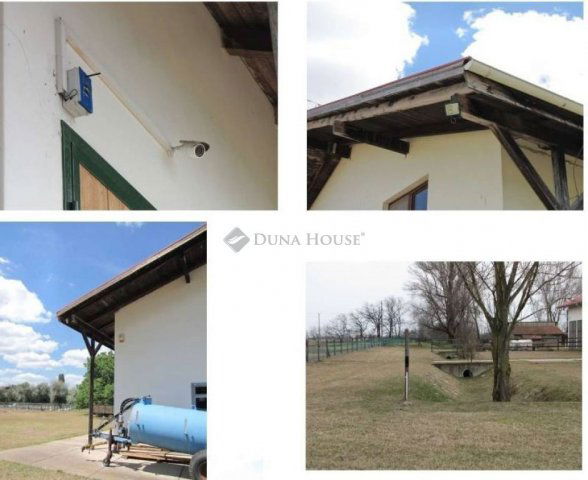 Eladó mezogazdasagi ingatlan, Lajosmizsén 300 M Ft