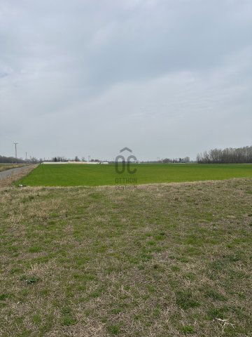 Eladó telek, Röszkén 2334.281 M Ft / költözzbe.hu