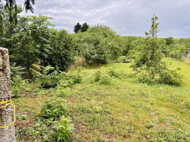 Eladó családi ház, Szikszón 19.9 M Ft, 2 szobás