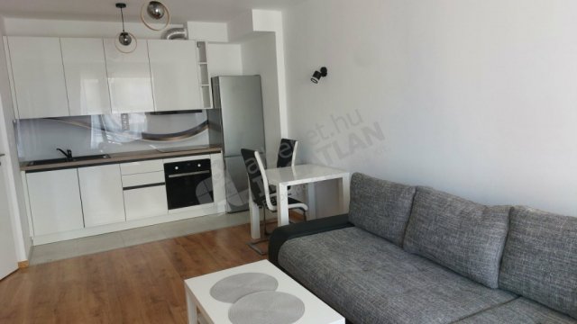 Kiadó téglalakás, albérlet, IX. kerületben, Lenhossék utcában