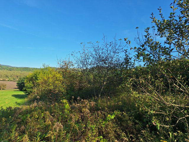 Eladó mezogazdasagi ingatlan, Karmacson 2.5 M Ft