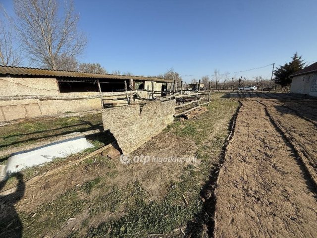 Eladó telek, Tiszakécskén 8.99 M Ft / költözzbe.hu
