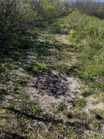 Eladó telek, Pécsett 19.9 M Ft / költözzbe.hu